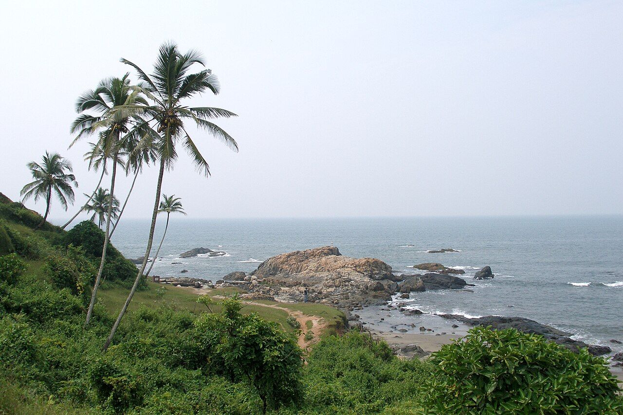 Coconut palms leaning over a rocky Goa shoreline at Vagator, with the sea beyond