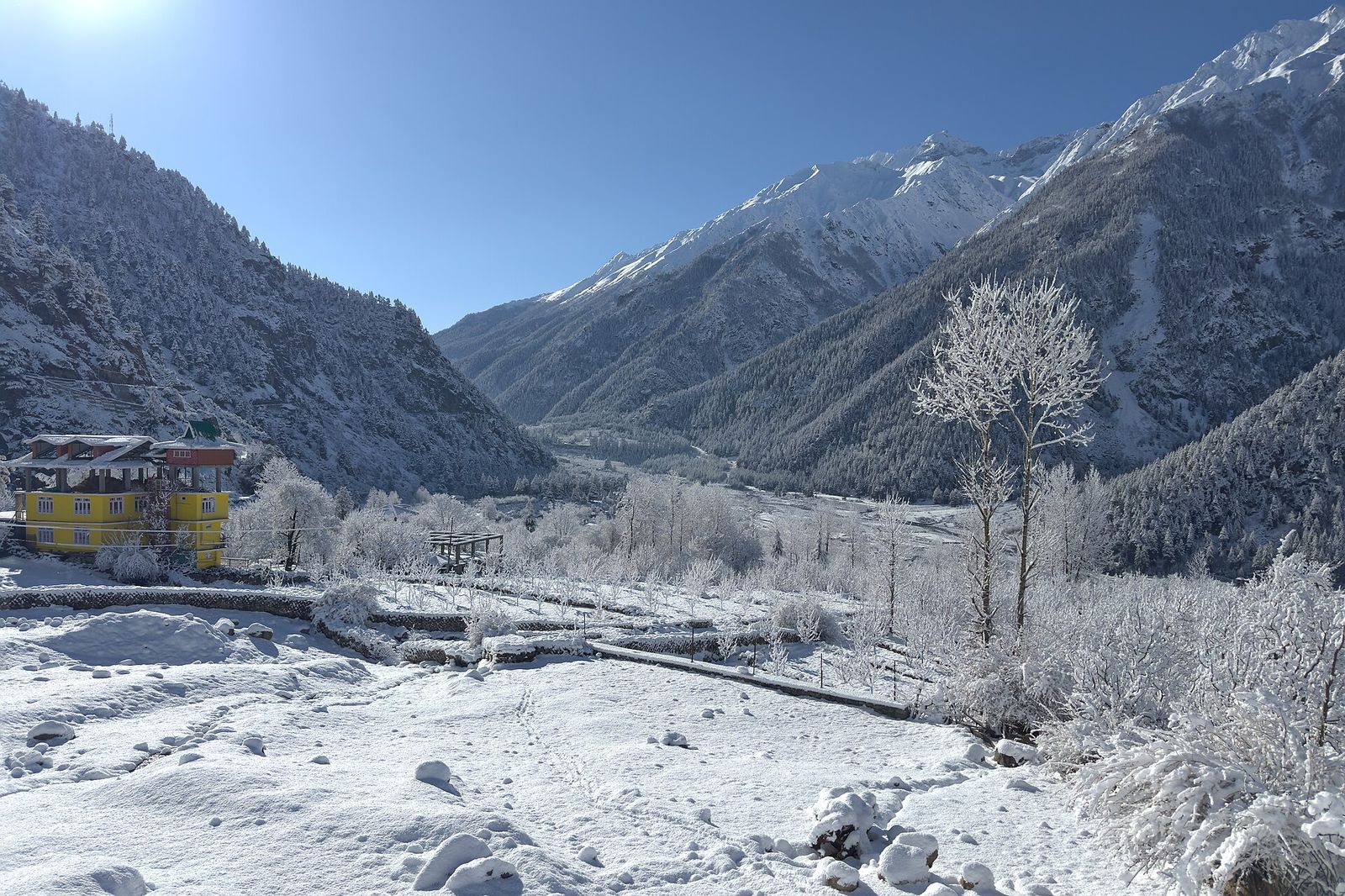 Snow-dusted fields and frosted trees in the Baspa Valley at Sangla in Kinnaur, with snowy peaks beyond