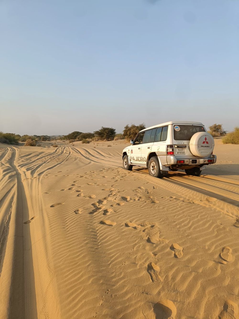 A white Mitsubishi Pajero from behind on golden sand, with tyre tracks and footprints and low desert scrub in the distance